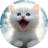 Шульц_