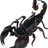 Черный скорпион (Дурак 2х2)