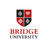 Bridgeuniversity (Бридж)