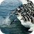 Гималайские пингвины (Скачки)