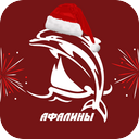 12:33 Шахматы, ССК «Афалины»