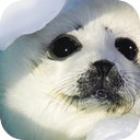 18:20 Шашки, Шашечки.Тренировочный тур.