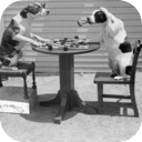 22:20 YouthUzbekistan🌞